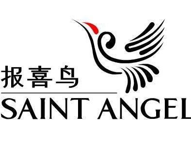 職業(yè)裝定制品牌排行榜-報(bào)喜鳥